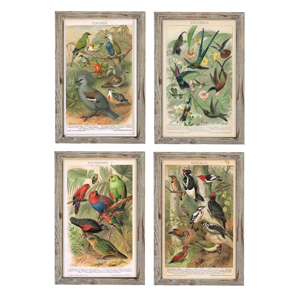 Kuva DKD Home Decor Birds, 45 x 2 x 65 cm, 4 kpl. hinta ja tiedot | Taulut | hobbyhall.fi