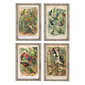 Kuva DKD Home Decor Birds, 45 x 2 x 65 cm, 4 kpl. hinta ja tiedot | Taulut | hobbyhall.fi