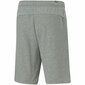 Puma Essentials Miesten urheilushortsit S6447047 hinta ja tiedot | Miesten urheiluvaatteet | hobbyhall.fi