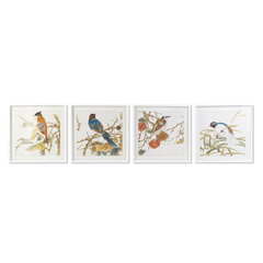 Picture DKD Home Decor, 60 x 2,5 x 60 cm, 4 kpl. hinta ja tiedot | Taulut | hobbyhall.fi