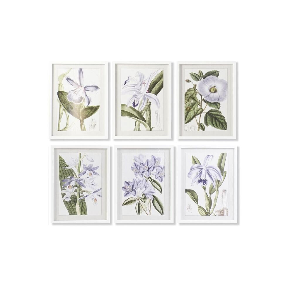 Picture DKD Home Decor Kukat, 40 x 2 x 54 cm, 6 kpl. hinta ja tiedot | Taulut | hobbyhall.fi