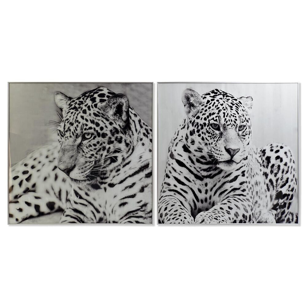 Kuva DKD Home Decor Leopard, 100 x 2,5 x 100 cm, 2 kpl. hinta ja tiedot | Taulut | hobbyhall.fi