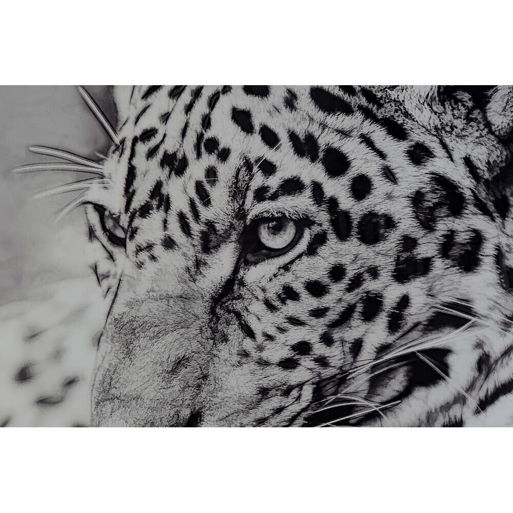 Kuva DKD Home Decor Leopard, 100 x 2,5 x 100 cm, 2 kpl. hinta ja tiedot | Taulut | hobbyhall.fi