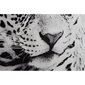 Kuva DKD Home Decor Leopard, 100 x 2,5 x 100 cm, 2 kpl. hinta ja tiedot | Taulut | hobbyhall.fi