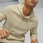 Puma miesten huppari, beige hinta ja tiedot | Miesten puserot ja hupparit | hobbyhall.fi