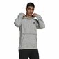 Adidas neule Essentials Mélange hinta ja tiedot | Miesten puserot ja hupparit | hobbyhall.fi