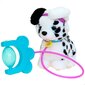 Interaktiivinen lelu Eolo Sprint Dog, 21,5 cm hinta ja tiedot | Pehmolelut | hobbyhall.fi