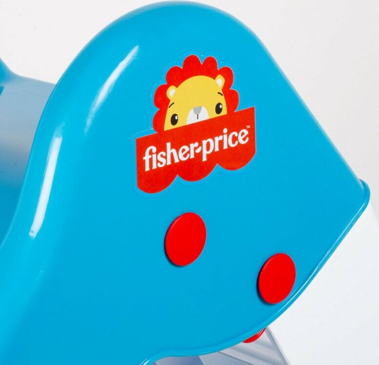 Slide Fisher Price, sininen hinta ja tiedot | Liukumäet | hobbyhall.fi