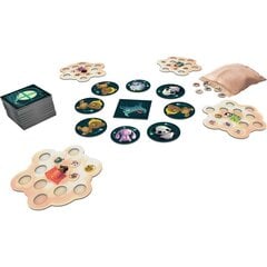 Lautapeli Asmodee Dream Catcher hinta ja tiedot | Lautapelit ja älypelit | hobbyhall.fi