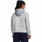 Under Armour Rival Fleece CB -huppari, harmaa hinta ja tiedot | Naisten hupparit, collegepaidat ja villapaidat | hobbyhall.fi