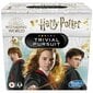 Lautapeli Trivial Pursuit Harry Potter, FR hinta ja tiedot | Lautapelit ja älypelit | hobbyhall.fi