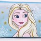 Kolminkertainen Penaali Frozen (Ledo Šalins) hinta ja tiedot | Penaalit | hobbyhall.fi