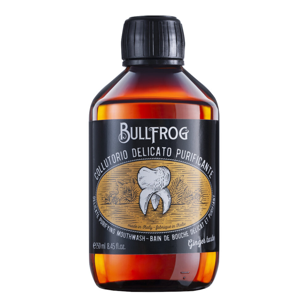 BULLFROG Hellävarainen puhdistava suuvesi - Alkoholiton suuvesi, 250 ml hinta ja tiedot | Suuhygienia | hobbyhall.fi