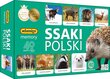 Adamigo Ssaki Puolan pelimuisti Adamigo 07752 hinta ja tiedot | Lautapelit ja älypelit | hobbyhall.fi