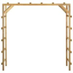 Ulkokiipeilyseinä vidaXL, 170x60x170 cm hinta ja tiedot | Liukumäet | hobbyhall.fi