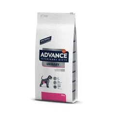 Advance Vet Diet Urinary kuivaruoka koirille, joilla on virtsaamisvaikeuksia, 12 kg hinta ja tiedot | Koiran kuivaruoka | hobbyhall.fi