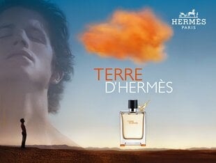 Hermes Terre d´Hermes deodorantti miehelle 75 ml hinta ja tiedot | Miesten ihonhoito | hobbyhall.fi