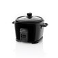 ETA Granello Rice Cooker ETA313990010 70 hinta ja tiedot | Höyry- ja monitoimikattilat | hobbyhall.fi