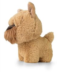 DAFFI Mas.Teddy Pets Griffon bruxell. T-016 00166 hinta ja tiedot | Pehmolelut | hobbyhall.fi