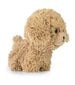 DAFFI maskotti. Teddy Pets Kultainen villakoira T-014 00142 hinta ja tiedot | Pehmolelut | hobbyhall.fi