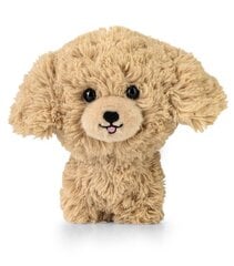 DAFFI maskotti. Teddy Pets Kultainen villakoira T-014 00142 hinta ja tiedot | Pehmolelut | hobbyhall.fi