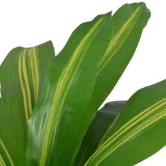 Keinotekoinen Dracena ruukulla, 90 cm, vihreä hinta ja tiedot | Keinotekoiset kukat | hobbyhall.fi