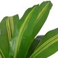 Keinotekoinen Dracena ruukulla, 90 cm, vihreä hinta ja tiedot | Keinotekoiset kukat | hobbyhall.fi