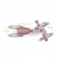 Potkupyörä Lionelo Villy, vaaleanpunainen hinta ja tiedot | Potkupyörät | hobbyhall.fi