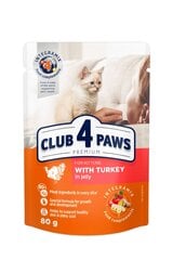 CLUB 4 PAWS PREMIUM kissanpentujen märkäruoka - Kalkkunahyytelö, 80 g hinta ja tiedot | Kissan kuivaruoka | hobbyhall.fi