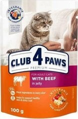 CLUB 4 PAWS PREMIUM kissan märkäruoka - Naudanliha hyytelössä, 100 g hinta ja tiedot | Kissanruoka | hobbyhall.fi