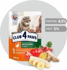 Club 4 Paws Premium ankkakastikkeessa, 100 g hinta ja tiedot | Kissanruoka | hobbyhall.fi