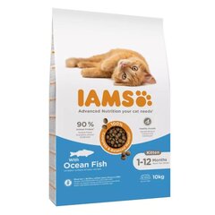 IAMS for Vitality nuorille kissanpennuille merikalojen kanssa, 10 kg hinta ja tiedot | Kissan kuivaruoka | hobbyhall.fi