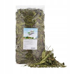 Herkku rotille ja kaneille Factoryherbs Plantain leaf, 750 g hinta ja tiedot | Pieneläinten ruoat | hobbyhall.fi