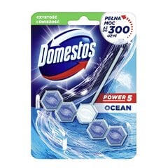 Domestos Power Cleaner -raikastaja, 55g hinta ja tiedot | Puhdistusaineet | hobbyhall.fi