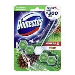 Domestos Power Cleaner -raikastaja, 55g hinta ja tiedot | Puhdistusaineet | hobbyhall.fi