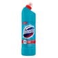 Domestos Atlantic desinfioiva wc-puhdistusaine 1250 ml, 6 kpl hinta ja tiedot | Puhdistusaineet | hobbyhall.fi