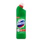 Domestos Pine wc-puhdistusaine, 1250ml, 6 kpl hinta ja tiedot | Puhdistusaineet | hobbyhall.fi