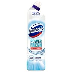 Domestos Total Hygiene wc-puhdistusaine, 700ml, 6 kpl hinta ja tiedot | Puhdistusaineet | hobbyhall.fi