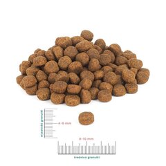 Perro Junior naudanlihalla ja bataatilla, 9 kg hinta ja tiedot | Koiran kuivaruoka | hobbyhall.fi