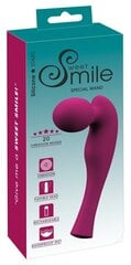 Vibraattori Sweet Smile Special Wand, violetti hinta ja tiedot | Vibraattorit | hobbyhall.fi