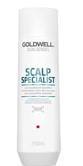 Hilsettä ehkäisevä shampoo Goldwell Dualsenses Scalp Specialist, 250 ml hinta ja tiedot | Shampoot | hobbyhall.fi