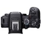 Canon EOS R10 runko hinta ja tiedot | Kamerat | hobbyhall.fi