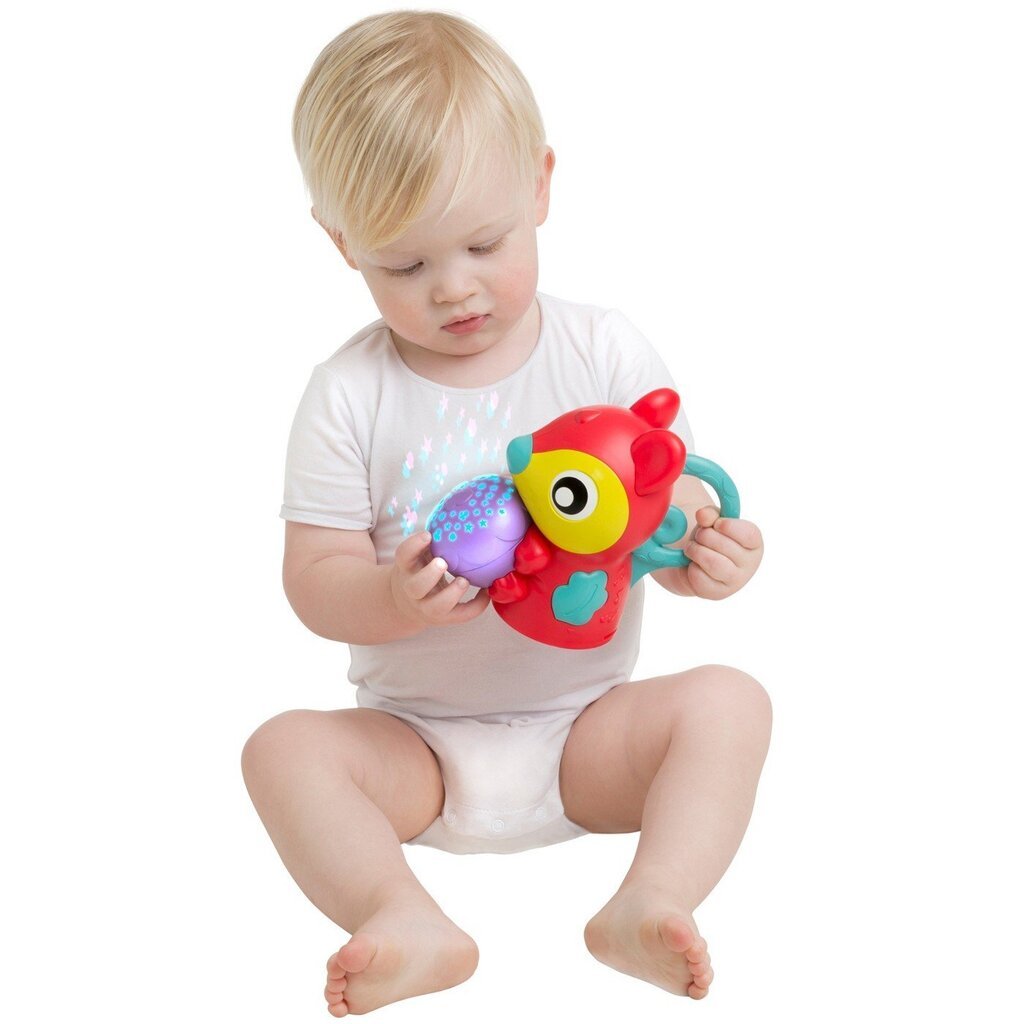 PLAYGRO Leikkimatto Music and Lights Woodlands hinta ja tiedot | Leikkimatot | hobbyhall.fi