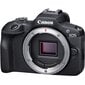 Canon EOS R100 runko musta hinta ja tiedot | Kamerat | hobbyhall.fi