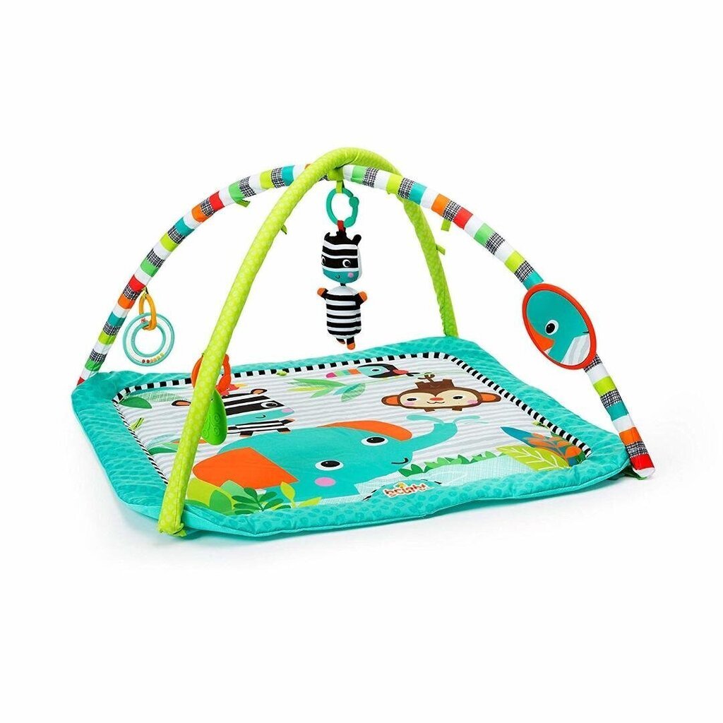 BRIGHT STARTS leikkikehä Zig Zag Zebra™ hinta ja tiedot | Leikkimatot | hobbyhall.fi