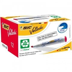 Valkotaulumerkki Bic Velleda 1751 4-6 mm, ristipää, punainen, 12 kpl. 751035 hinta ja tiedot | Kirjoitusvälineet | hobbyhall.fi