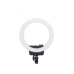 LED-lamppu Nanlite Ringlight Halo 16 LED lisävarusteilla hinta ja tiedot | Valokuvaustarvikkeet | hobbyhall.fi