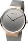 Bering Women Analog Quartz Classic Collection Rannekello ruostumattomasta teräksestä valmistettu rannekoru ja safiirilasi hinta ja tiedot | Älykellot | hobbyhall.fi