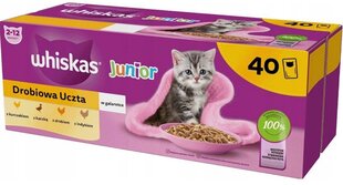 Whiskas Junior säilyke siipikarjaa, 40x85g hinta ja tiedot | Kissanruoka | hobbyhall.fi