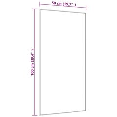 Ovipeili kulta 50x100 cm, lasi ja alumiini hinta ja tiedot | Peilit | hobbyhall.fi